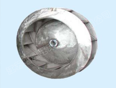 �����·��Ҷ��